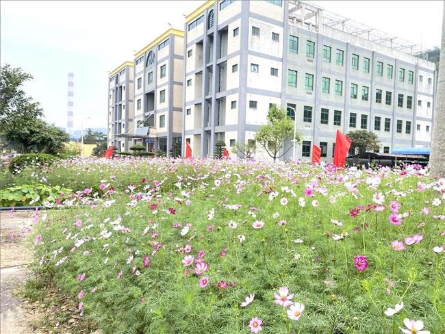 Nhiệt điện Quảng Ninh: Rực rỡ sắc hoa xuân từ phong trào “Xanh - Sạch - Đẹp - An toàn từ nơi làm việc”